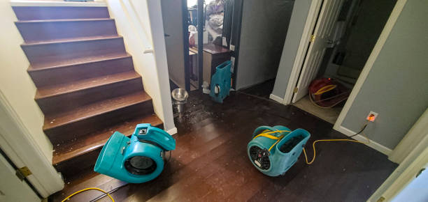 Best Carpet water damage restoration  in Mathis, TX