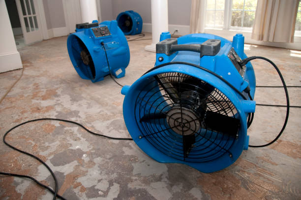 Best Flooded house restoration  in Mathis, TX