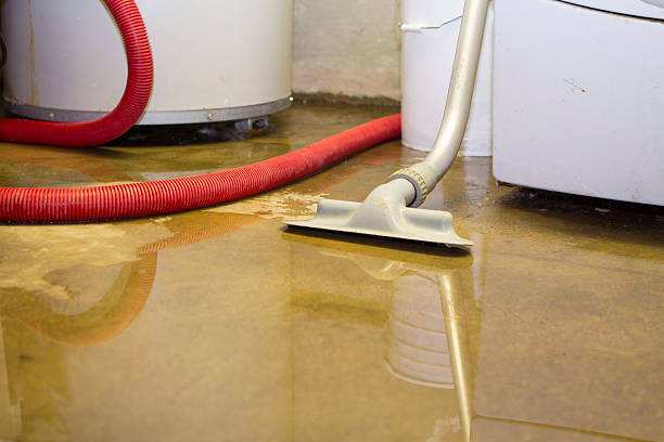 Best Mold removal after water damage  in Mathis, TX
