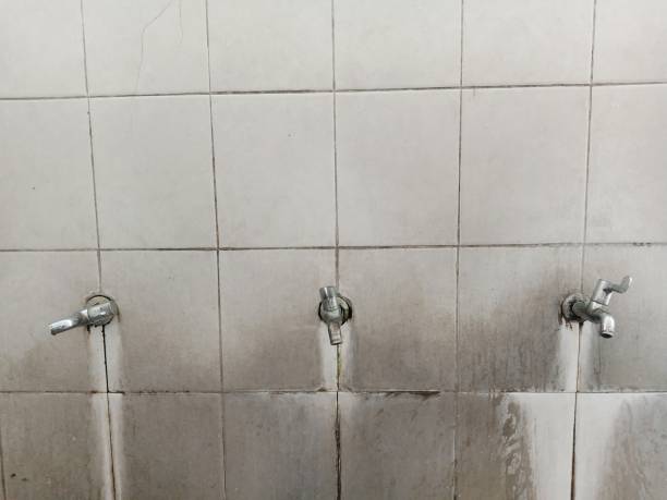 Best Water damage restoration experts  in Mathis, TX